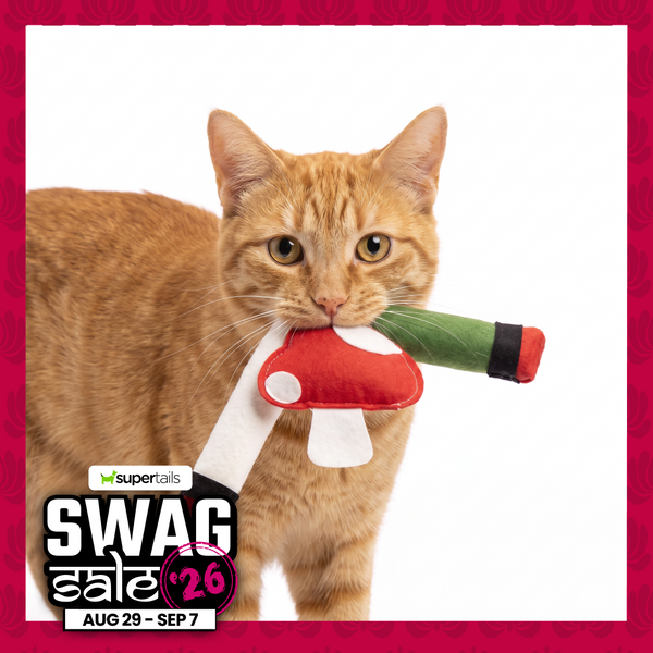Skatrs Cig, Joint and Magic Mushroom Catnip Toys Combo for Cats