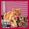 Skatrs Cig, Joint and Magic Mushroom Catnip Toys Combo for Cats Cats-Toys Skatrs