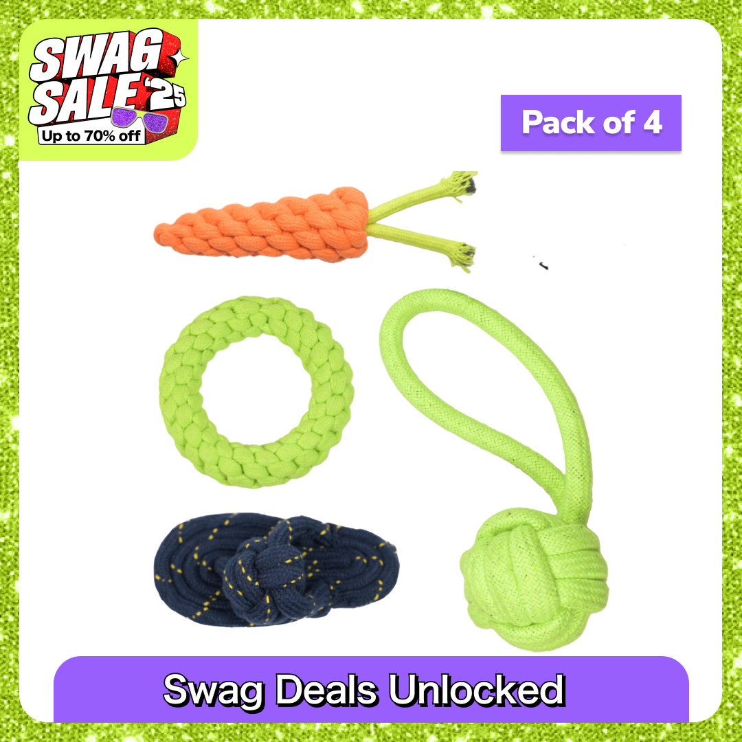 Skatrs Knotted Ball, Ring, Sandal and Carrot Shaped Rope Chew Toy for Dogs and Cats Combo Both-Toys Skatrs Pack of 4