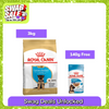 Royal Canin German Shepherd Puppy Dog Dry Food Dogs- Dry Food Royal Canin 3kg+140g (Wet Free)