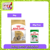 Royal Canin Shih Tzu Adult Dog Dry Food Dogs- Dry Food Royal Canin 3kg+85g (Wet Free)
