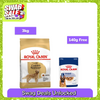 Royal Canin Golden Retriever Adult Dog Dry Food