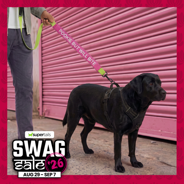 Funny Leash Sleeves for Dogs and Cats (Pink)