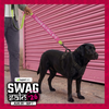 Funny Leash Sleeves for Dogs and Cats (Pink) Both-Collar, Leashes, harnesses Supertails
