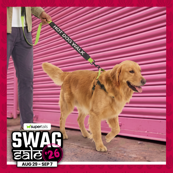 Funny Leash Sleeves for Dogs and Cats (Black)