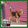 Funny Leash Sleeves for Dogs and Cats (Blue) Both-Collar, Leashes, harnesses Supertails