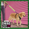Funny Leash Sleeves for Dogs and Cats (Green) Both-Collar, Leashes, harnesses Supertails
