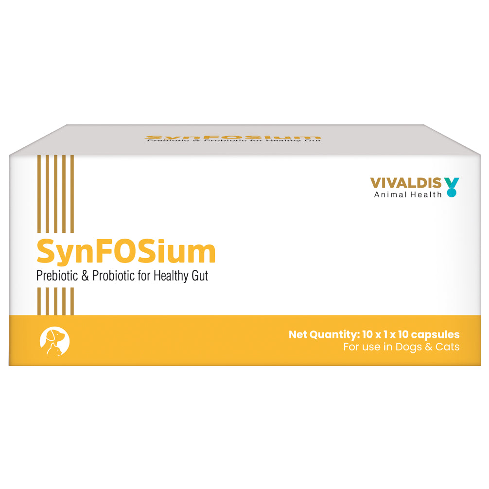 Vivaldis Synfosium Pre Probiotic Capsule for Dogs & Cats Both-Pharmacy Vivaldis Pharmacy 1 Strip (10 tablets)