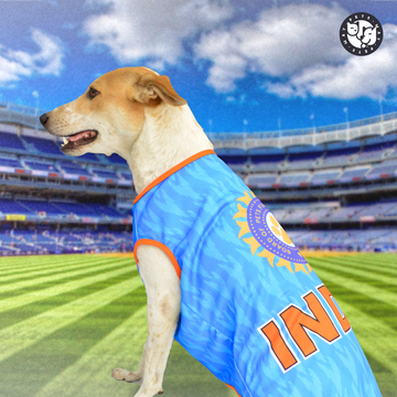 Pets Way Champions Trophy Jersey for Dogs (Blue)