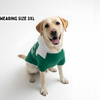 Pawgypets Furbarks Hoodie for Dogs (Green) Dogs-Clothing & Accessories Pawgypets Dropship