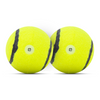 Barkbutler x Fofos Sports Fetch Ball for Dogs Dogs-Toys Barkbutler