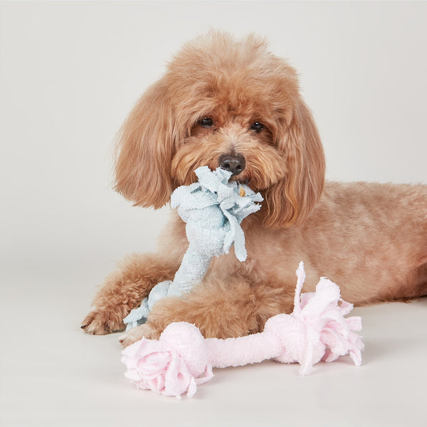Fofos Terry Rope Knot Puppy Toy for Dogs (Blue)