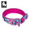 Truelove Neo Padded Collar for Dogs (Blue/Fuchsia) Dogs-Collar, Leashes, harnesses True Love M