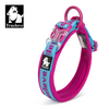 Truelove Neo Padded Collar for Dogs (Blue/Fuchsia) Dogs-Collar, Leashes, harnesses True Love