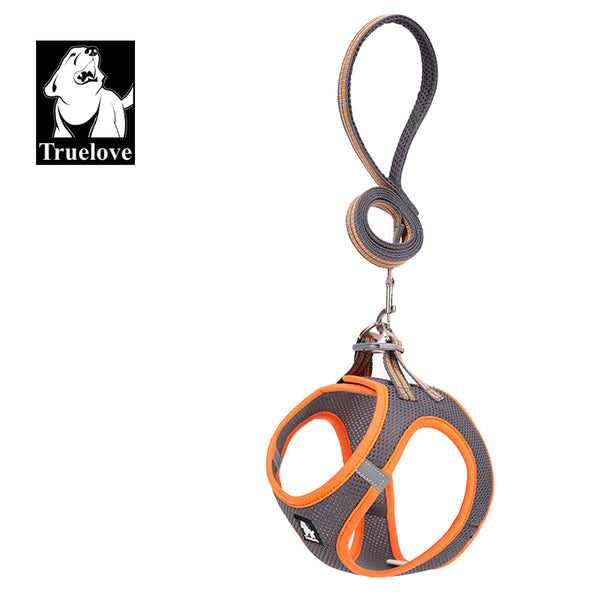 Truelove Mesh Harness & Leash Set for Cats & Small & Medium Dogs (Gray Orange)