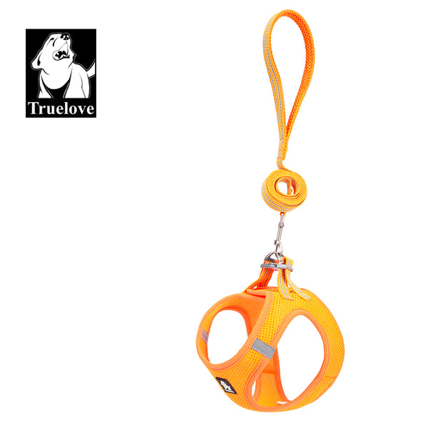 Truelove Mesh Harness & Leash Set for Cats & Small & Medium Dogs (Orange)