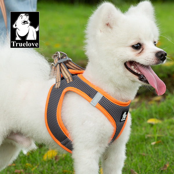 Truelove Mesh Harness & Leash Set for Cats & Small & Medium Dogs (Gray Orange)
