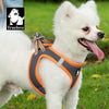 Truelove Mesh Harness & Leash Set for Cats & Small & Medium Dogs (Gray Orange) Both-Collar, Leashes, harnesses Truelove M