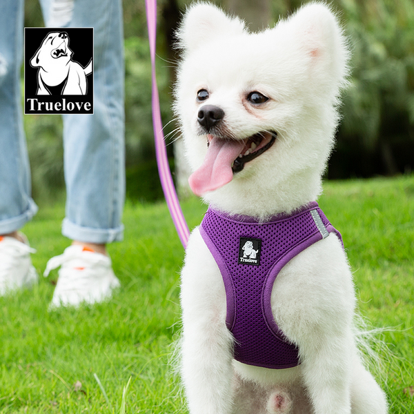 Truelove Mesh Harness & Leash Set for Cats and Small to Medium Dogs (Fuchsia)