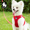 Truelove Mesh Harness & Leash Set for Cats & Small & Medium Dogs (Red) Both-Collar, Leashes, harnesses Truelove L