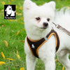 Truelove Mesh Harness & Leash Set for Cats & Small & Medium Dogs (Brown) Both-Collar, Leashes, harnesses Truelove L