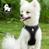 Truelove Mesh Harness & Leash Set for Cats & Small & Medium Dogs (Black) Both-Collar, Leashes, harnesses Truelove L