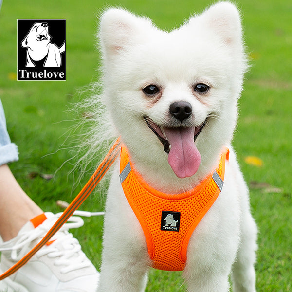 Truelove Mesh Harness & Leash Set for Cats & Small & Medium Dogs (Orange)