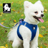 Truelove Mesh Harness & Leash Set for Cats & Small & Medium Dogs (Royal Blue) Both-Collar, Leashes, harnesses Truelove L