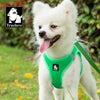 Truelove Mesh Harness & Leash Set for Cats & Small & Medium Dogs (Grass Green) Both-Collar, Leashes, harnesses Truelove L