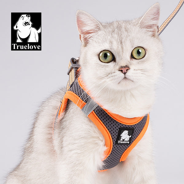 Truelove Mesh Harness & Leash Set for Cats & Small & Medium Dogs (Gray Orange)