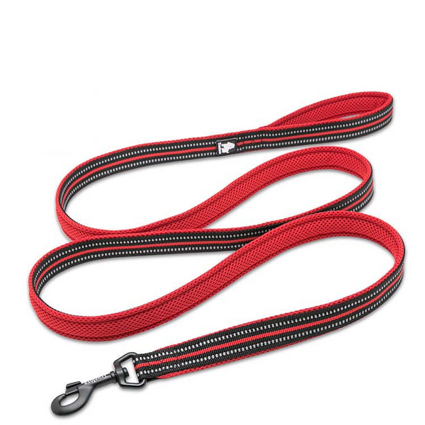 Truelove Classic leash for Dogs (Red)