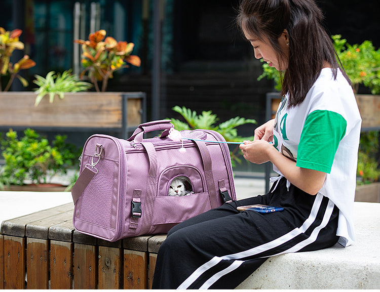 Truelove 1 Side Expandable Duffle Carrier for Dogs & Cats (Wistful Mauve) Both-Bedding, Mats & Travel Supplies Truelove