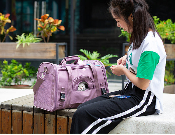 Truelove 1 Side Expandable Duffle Carrier for Dogs & Cats (Wistful Mauve)