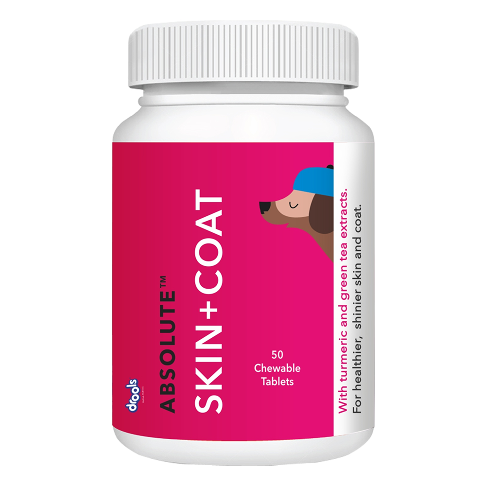 Drools Absolute Skin & Coat Supplement Tablets for Dogs Dogs-Health & Wellness Drools