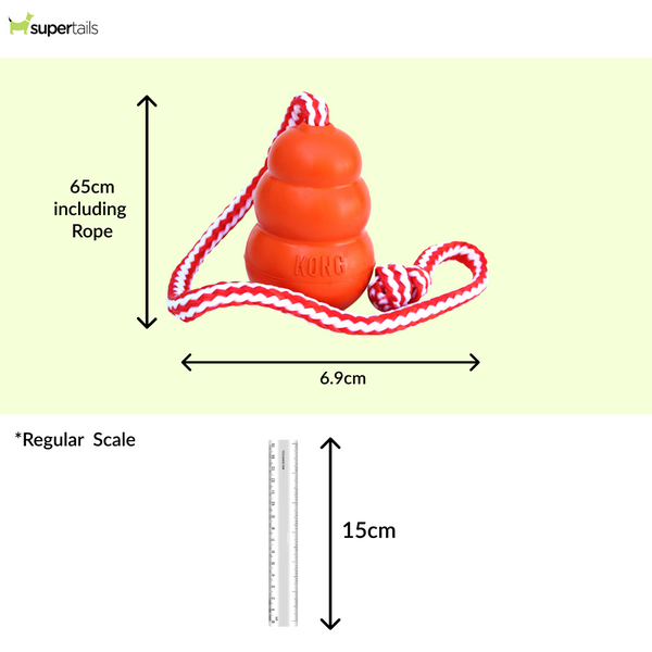 Kong Aqua Toy for Dogs (Orange)