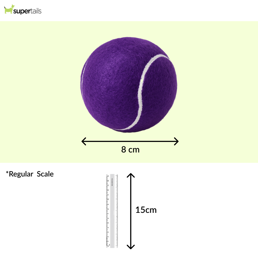 Talking Dog Club Tennis Ball Toy for Dogs (Purple) Dogs-Toys Talking Dog Club Dropship