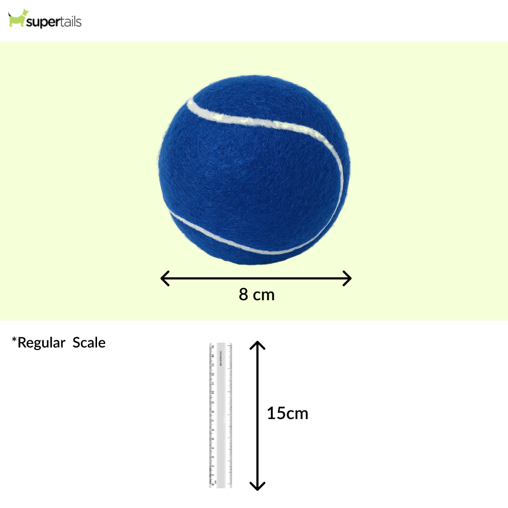 Talking Dog Club Tennis Ball Toy for Dogs (Blue) Dogs-Toys Talking Dog Club Dropship
