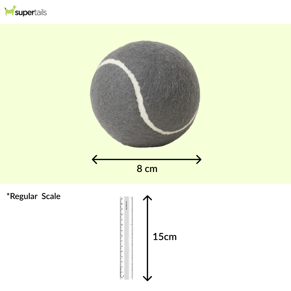 Talking Dog Club Tennis Ball Toy for Dogs (Grey) Dogs-Toys Talking Dog Club Dropship