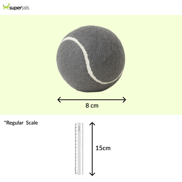 Talking Dog Club Tennis Ball Toy for Dogs (Grey)