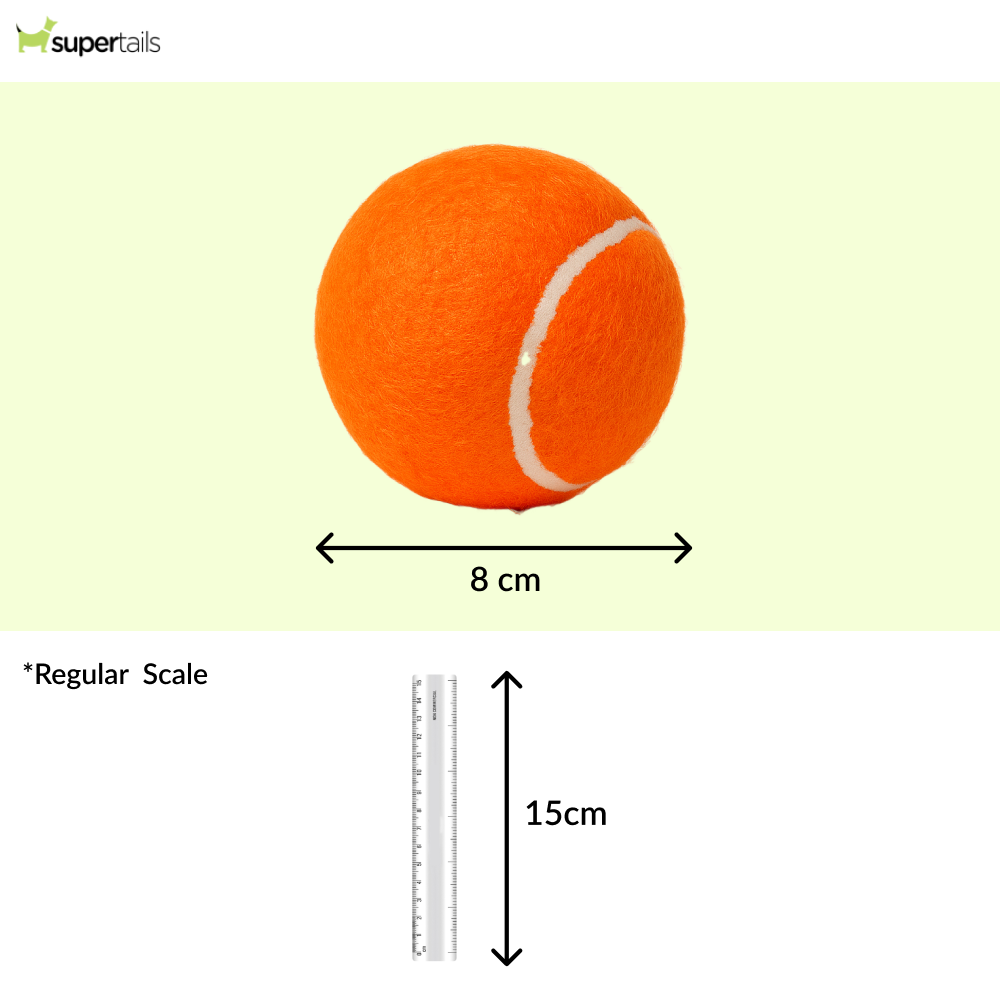 Talking Dog Club Tennis Ball Toy for Dogs (Orange) Dogs-Toys Talking Dog Club Dropship