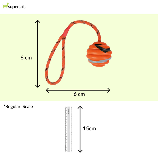 Trixie Wavy Ball on a Rope Toy for Dogs (Orange)