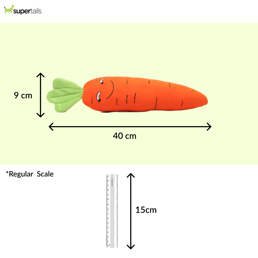 Skatrs Carrot Plush Toy for Dogs and Cats Both-Toys Skatrs
