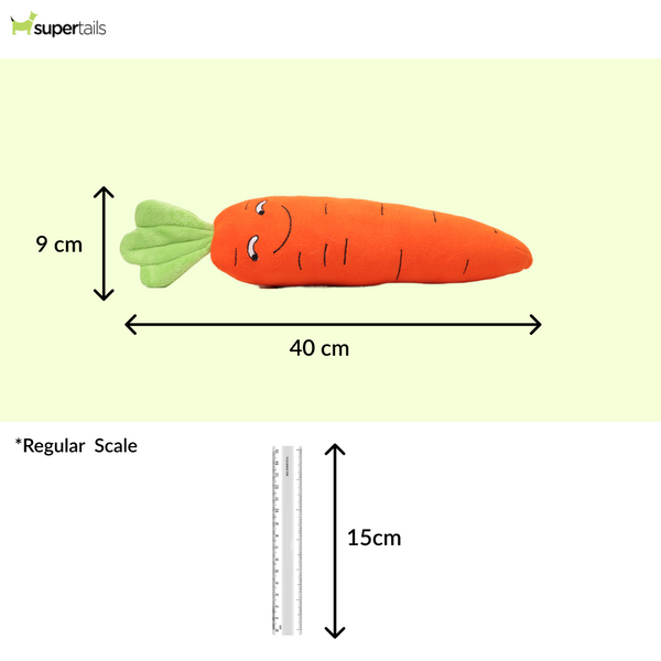 Skatrs Carrot Plush Toy for Dogs