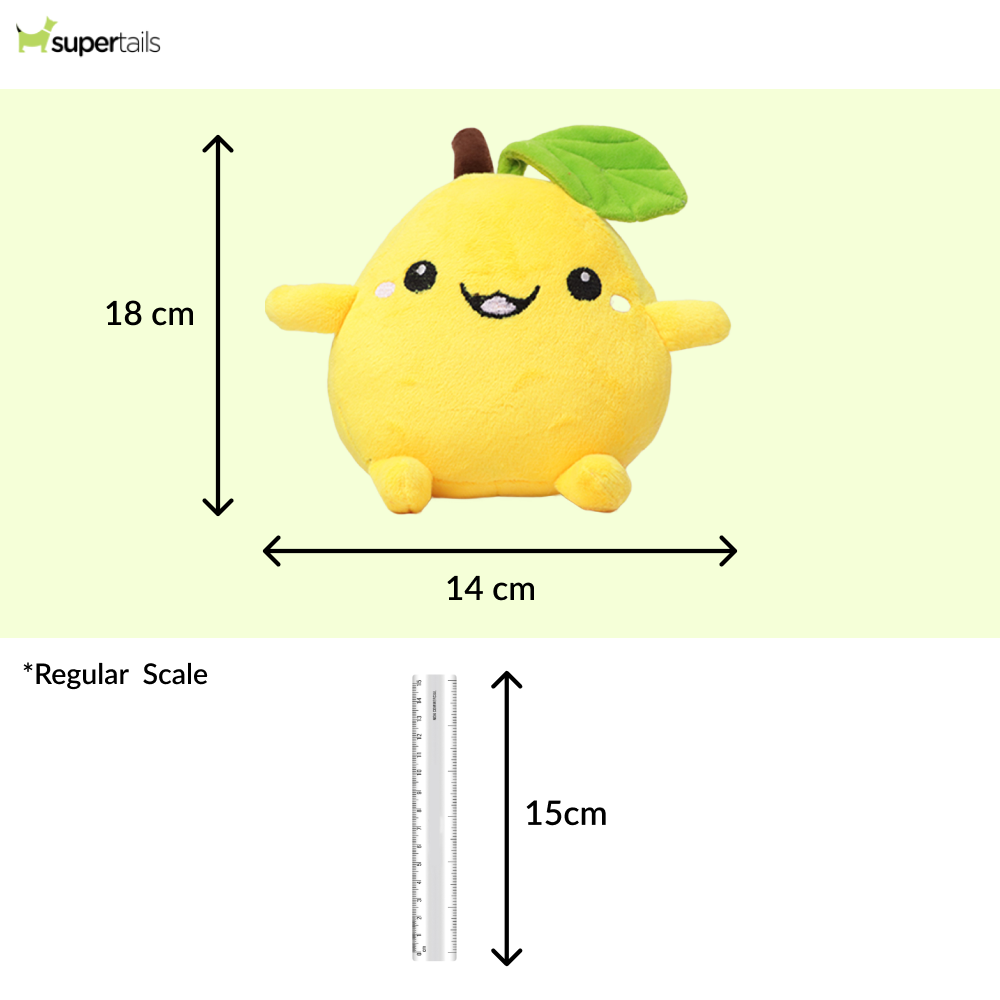 Skatrs Mango Plush Toy for Dogs Both-Toys Skatrs