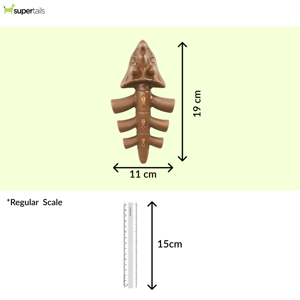 Talking Dog Club Dinosaur Nylon Bone Heavy Chew Toy for Dogs (Brown) Dogs-Toys Talking Dog Club Dropship