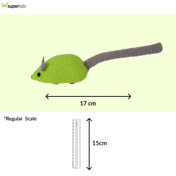 JW Zippy Mouse Toy for Cats (Green)