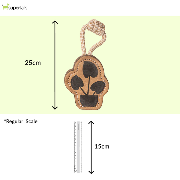 Pawpourri Plant Shaped Chew Toy for Dogs (Brown)