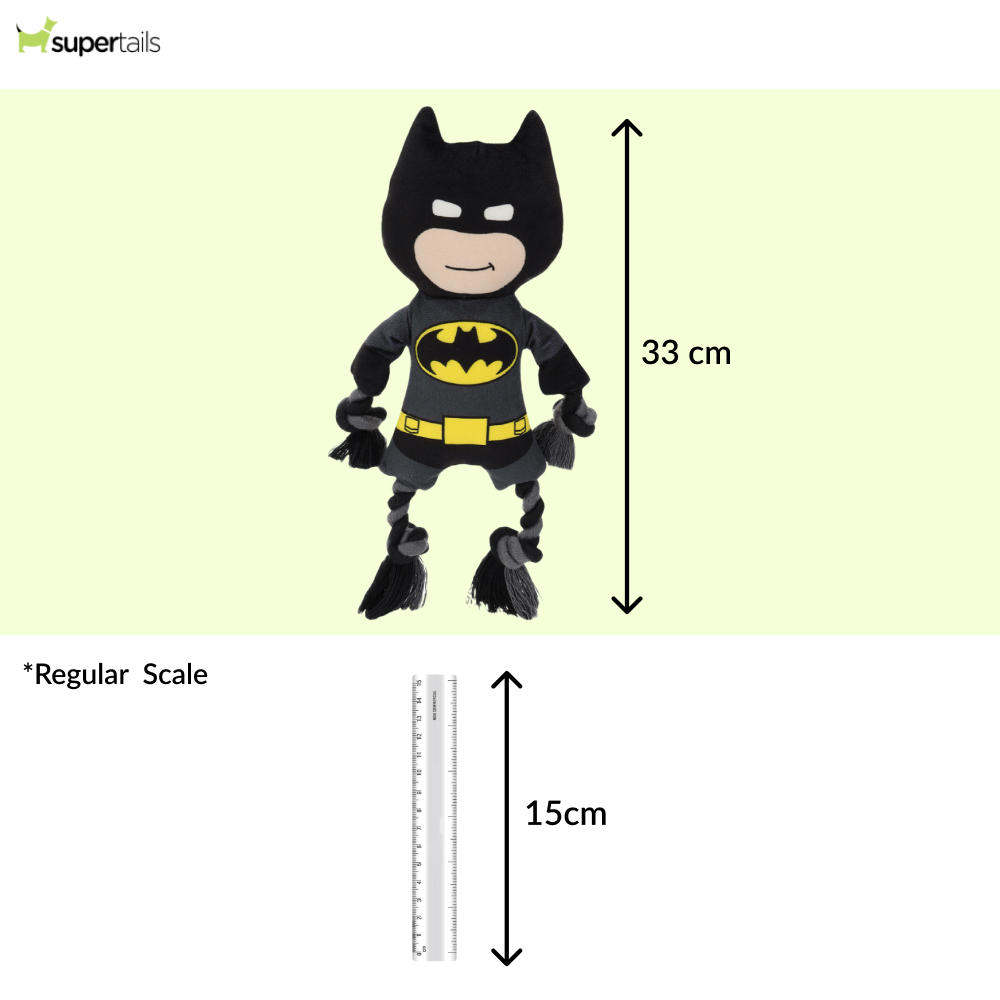 Warner Bros Batman Plush Toy for Dogs and Cats Both-Toys Warner Bros