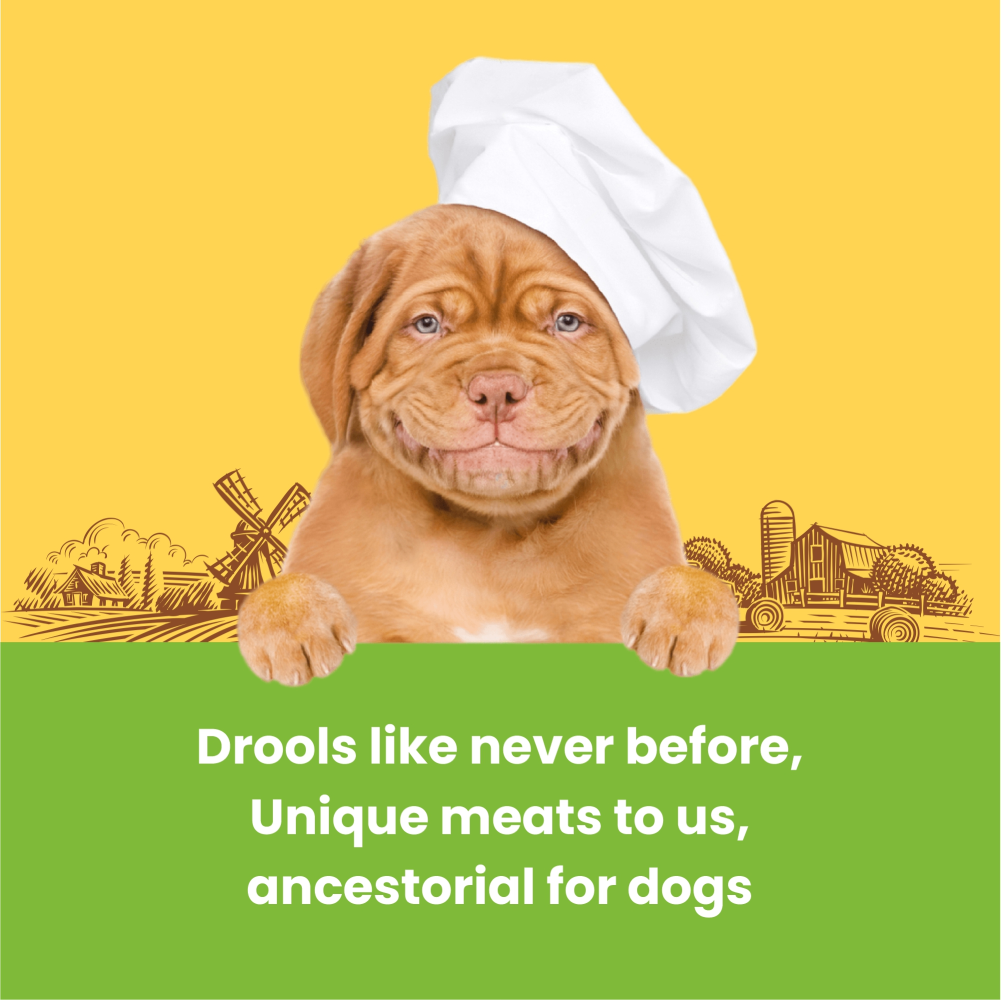Dogfest Turkey & Flax Seeds Training Dog Treats Dog Treats + Others Petfest