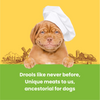 Dogfest Turkey & Flax Seeds Training Dog Treats Dog Treats + Others Petfest